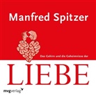 Manfred Spitzer, Otto Clemens - Das Gehirn und die Geheimnisse der Liebe, 1 Audio-CD (Audiolibro)