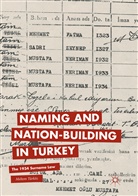 Meltem Turkoz, Meltem Türköz - Naming and Nation-building in Turkey