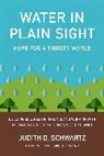Judith Schwartz, Judith D Schwartz, Judith D. Schwartz - Water in Plain Sight