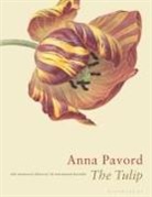 Anna Pavord - The Tulip