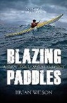 Brian Wilson - Blazing Paddles