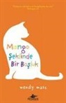 Wendy Mass - Mango Seklinde Bir Bosluk