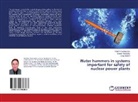 Ol Chulkin, Oleg Chulkin, Deni Pirkovskiy, Denis Pirkovskiy, Vladimi Skalozubov, Vladimir Skalozubov - Water hammers in systems important for safety of nuclear power plants