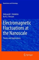 Bo N J Persson, Bo N. J. Persson, Bo N.J. Persson, Aleksandr Volokitin, Aleksandr I Volokitin, Aleksandr I. Volokitin - Electromagnetic Fluctuations at the Nanoscale