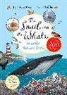 Julia Donaldson, Axel Scheffler - The Snail and the Whale Seaside Nature Trail