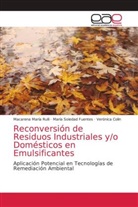 Colin, Verónica Colin, María Soleda Fuentes, María Soledad Fuentes, Macarena Marí Rulli, Macarena María Rulli - Reconversión de Residuos Industriales y/o Domésticos en Emulsificantes
