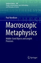 Paul Needham - Macroscopic Metaphysics