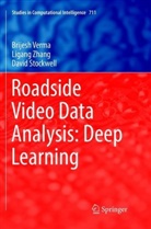 David Stockwell, Brijes Verma, Brijesh Verma, Ligan Zhang, Ligang Zhang - Roadside Video Data Analysis