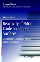 Akitoshi Shiotari - Reactivity of Nitric Oxide on Copper Surfaces