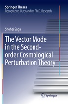 Shohei Saga - The Vector Mode in the Second-order Cosmological Perturbation Theory