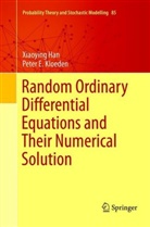 Xiaoyin Han, Xiaoying Han, Peter E Kloeden, Peter E. Kloeden - Random Ordinary Differential Equations and Their Numerical Solution