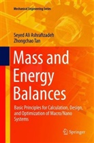 Seyed Al Ashrafizadeh, Seyed Ali Ashrafizadeh, Zhongchao Tan - Mass and Energy Balances