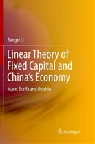 Bangxi Li - Linear Theory of Fixed Capital and China's Economy