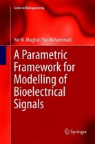 Yar M Mughal, Yar M. Mughal - A Parametric Framework for Modelling of Bioelectrical Signals