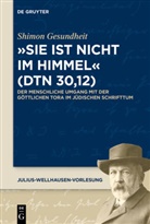 Shimon Gesundheit - Sie ist nicht im Himmel (Dtn 30,12)