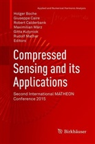 Holger Boche, Giusepp Caire, Giuseppe Caire, Robert Calderbank, Robert Calderbank et al, Gitta Kutyniok... - Compressed Sensing and its Applications