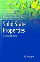 Ste Cronin, Stephen B. Cronin, Gen Dresselhaus, Gene Dresselhaus, Mildre Dresselhaus, Mildred Dresselhaus... - Solid State Properties