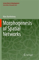 Marc Barthelemy - Morphogenesis of Spatial Networks