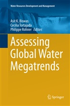 Asit K. Biswas, Philippe Rohner, Cecili Tortajada, Cecilia Tortajada - Assessing Global Water Megatrends
