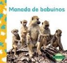 Julie Murray - Manada de Babuinos (Baboon Troop)