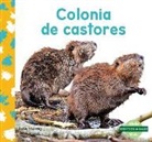 Julie Murray - Colonia de castores (Beaver Colony)