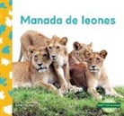 Julie Murray - Manada de Leones (Lion Pride)