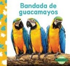 Julie Murray - Bandada de Guacamayos (Macaw Flock)