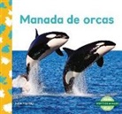 Julie Murray - Manada de orcas (Orca Whale Pod)