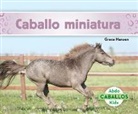 Grace Hansen - Caballo miniatura (Miniature Horses)