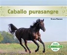 Grace Hansen - Caballo purasangre (Thoroughbred Horses)