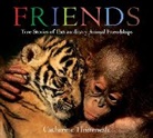Thimmesh, Catherine Thimmesh - Friends Board Book