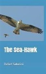 Rafael Sabatini - The Sea-Hawk