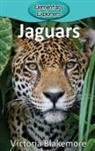 Victoria Blakemore - Jaguars