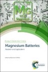 Maximilian Fichtner, Maximilian (Helmholtz Institute Ulm Fichtner, Maximilian Fichtner, Maximilian (Helmholtz Institute Ulm Fichtner - Magnesium Batteries
