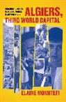 Elaine Mokhtefi, Mokhtefi Elaine - Algiers, Third World Capital