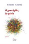 Gerardo Acierno - Il groviglio, la gioia