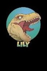 Wild Dinosaur Journals - Lily: T Rex Dinosaur 100 Lined Pages Journal Notebook - 6 X 9 Personalized Book Notepad for Kids and Adults Named Lily