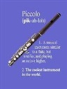 Noon Sun Handy Books - Piccolo: The Coolest Instrument in the World