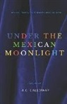 A. C. Calloway - Under the Mexican Moonlight: A Short Story of Romance