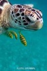 Creative Juices Publishing - Turtle Journal: 6x9 Notebook, Ruled, Sea Turtle, Underwater, Draw and Write, Primary Composition Book, Planner, Organizer, Stress Diar