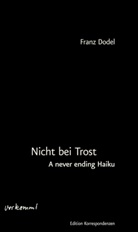 Franz Dodel, Rudolf Steiner - Nicht bei Trost. A never ending Haiku