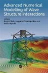 David Dimakopoulos Kelly, David M Dimakopoulos Kelly, Pablo Higuera Caubilla, Aggelos Dimakopoulos, Angelos Dimakopoulos, Pablo Higuera... - Advanced Numerical Modelling of Wave Structure Interaction