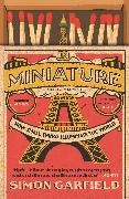 Simon Garfield, Garfield Simon - In Miniature How Small Things Illuminate The World