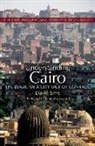 David Sims - Understanding Cairo