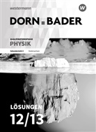 Rainer Müller - Dorn-Bader Physik SII, Ausgabe 2018 für Niedersachsen: Dorn / Bader Physik SII - Ausgabe 2018 für Niedersachsen