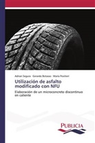 Gerard Botasso, Gerardo Botasso, María Positieri, Adria Segura, Adrian Segura - Utilización de asfalto modificado con NFU