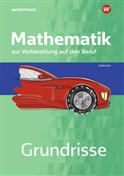 Karl-Martin Sedlmeier - Grundrisse Mathematik zur Vorbereitung auf den Beruf