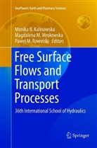 Monika B. Kalinowska, Magdalen Maria Mrokowska, Magdalena Maria Mrokowska, Pawel Mariusz Rowinski, Magdalena Maria Mrokowska, Pawel Mariusz Rowinski... - Free Surface Flows and Transport Processes