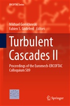 Fabien S. Godeferd, Mikhae Gorokhovski, Mikhael Gorokhovski, S Godeferd, S Godeferd - Turbulent Cascades II