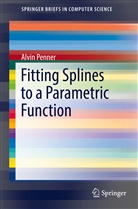 Alvin Penner - Fitting Splines to a Parametric Function